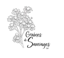 graines de sauvage